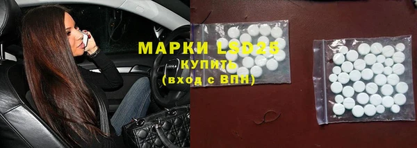 ПСИЛОЦИБИНОВЫЕ ГРИБЫ Кукмор