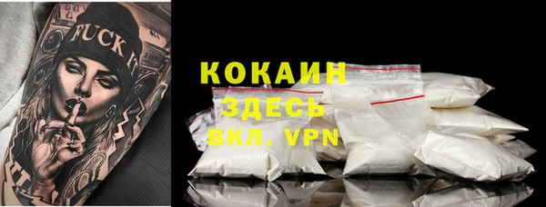 ПСИЛОЦИБИНОВЫЕ ГРИБЫ Кукмор