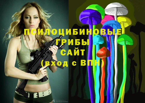 ПСИЛОЦИБИНОВЫЕ ГРИБЫ Кукмор