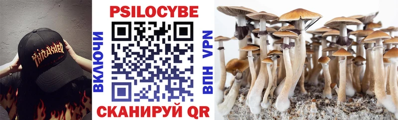 Галлюциногенные грибы GOLDEN TEACHER  купить наркоту  Мензелинск 